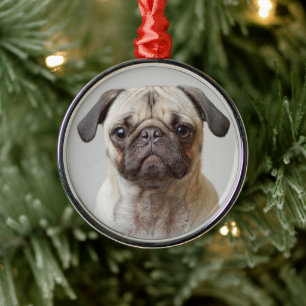 Pug Porträtt Julgransprydnad Metall