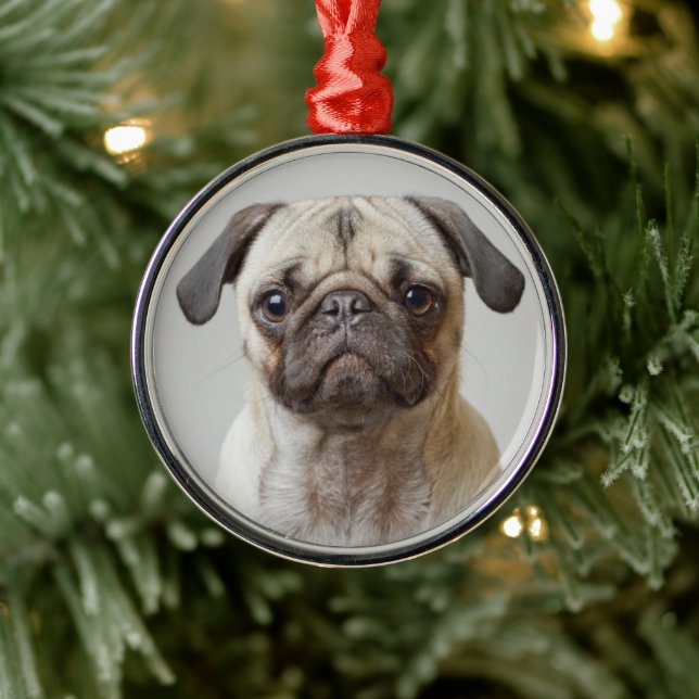 Pug Porträtt Julgransprydnad Metall (Träd)