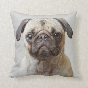 Pug Porträtt Kudde