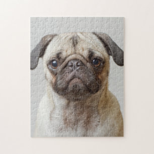 Pug Porträtt Pussel