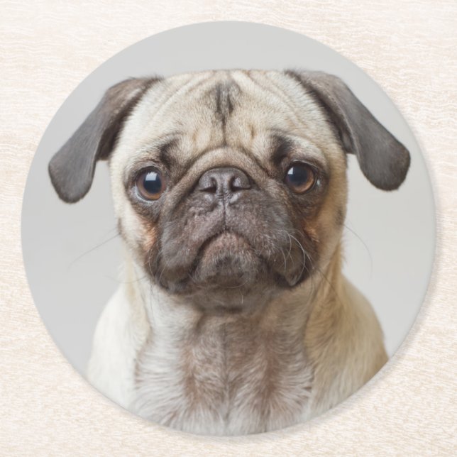 Pug Porträtt Underlägg Papper Rund (Framsidan)