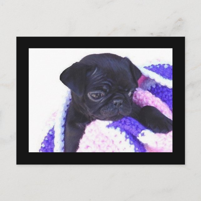PuG-postkort Vykort (Framsida)