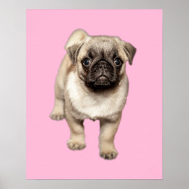 Pug Puppy Anpassningsbar Background Färg Poster