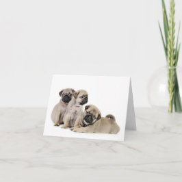 Pug Puppy Card Kort