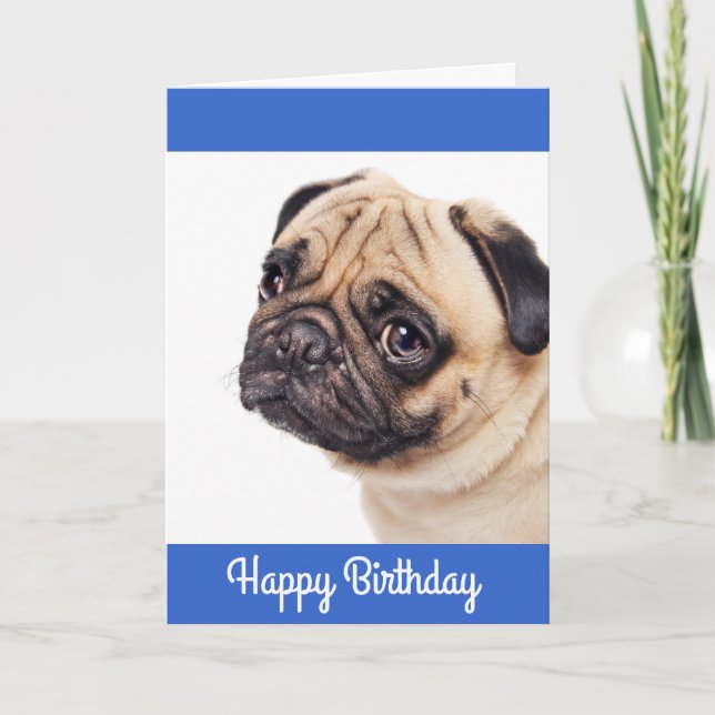 Pug Puppy Grattis på födelsedagen Card - Verse inu Kort (Framsida)
