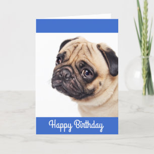 Pug Puppy Grattis på födelsedagen Card - Verse inu Kort