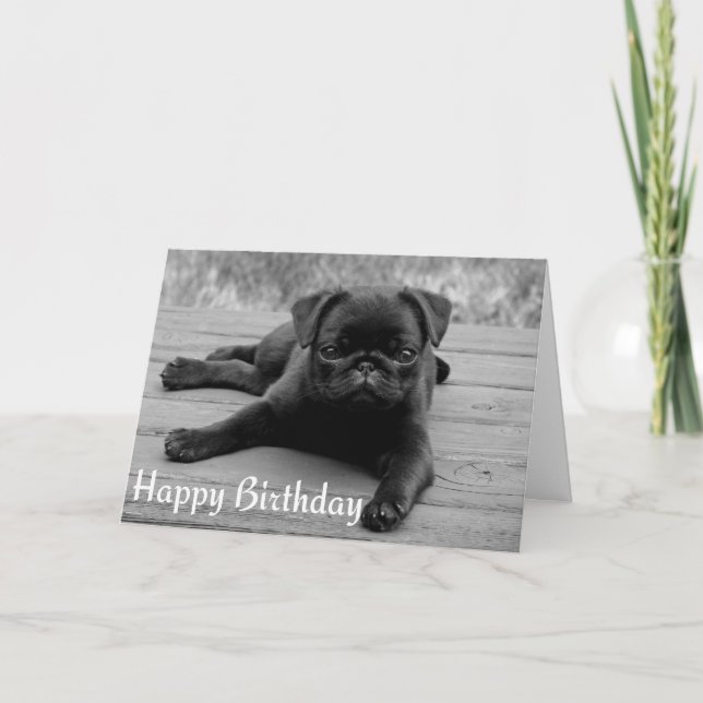 Pug Puppy Grattis på födelsedagen-kort för Hund -  Kort (Framsida)