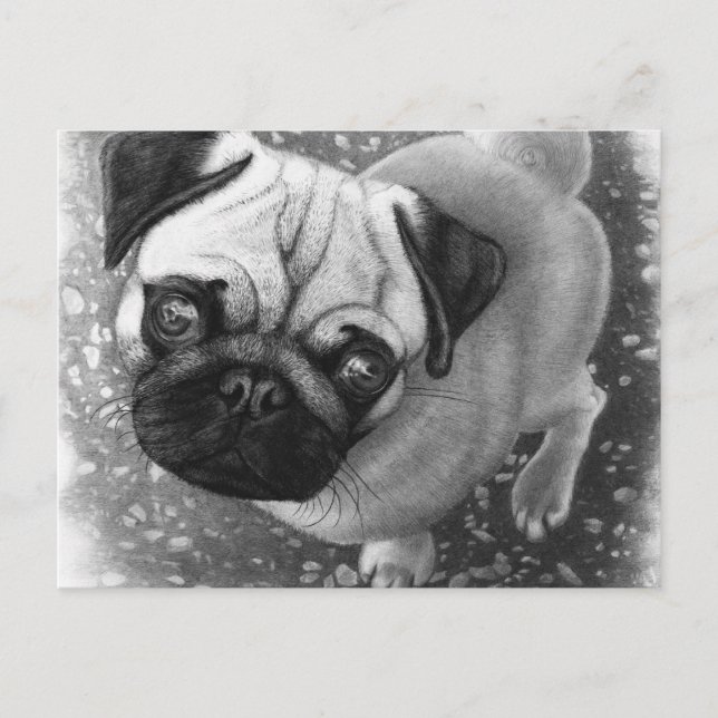 Pug Puppy Hund Art Vykort (Framsida)