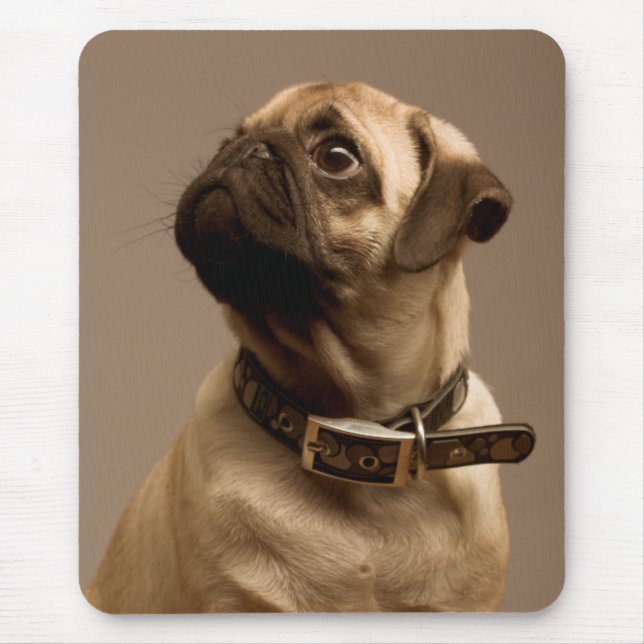 Pug Puppy Hund Computer Mousepad Musmatta (Framsidan)