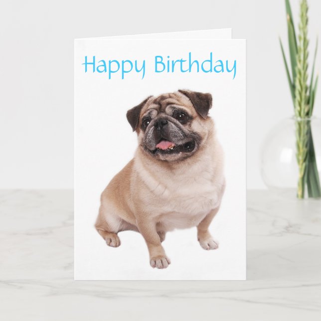 Pug Puppy Hund Grattis på födelsedagen Card - Vers Kort (Framsida)
