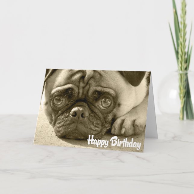 Pug Puppy Hund Grattis på födelsedagen Card - Vers Kort (Framsida)