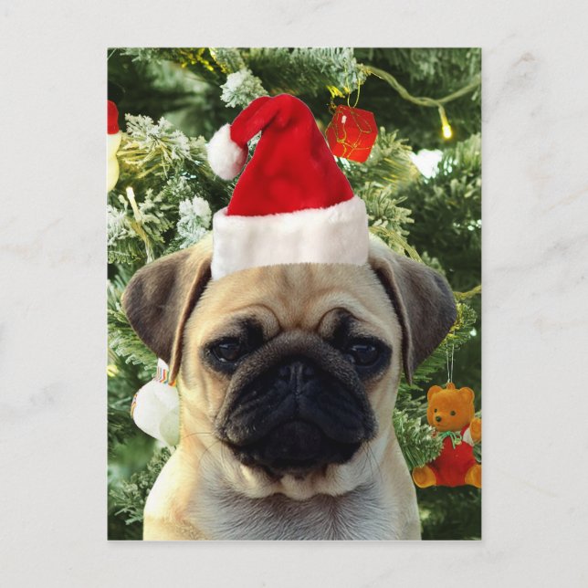 Pug Puppy Julgran Ornaments Snögubbe Helg Vykort (Framsida)