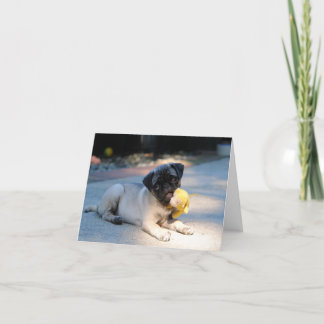 Pug Puppy Note Card Helgkort