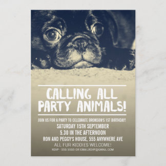 Pug Puppy Party Inbjudan [Fullt Bleed Photo]