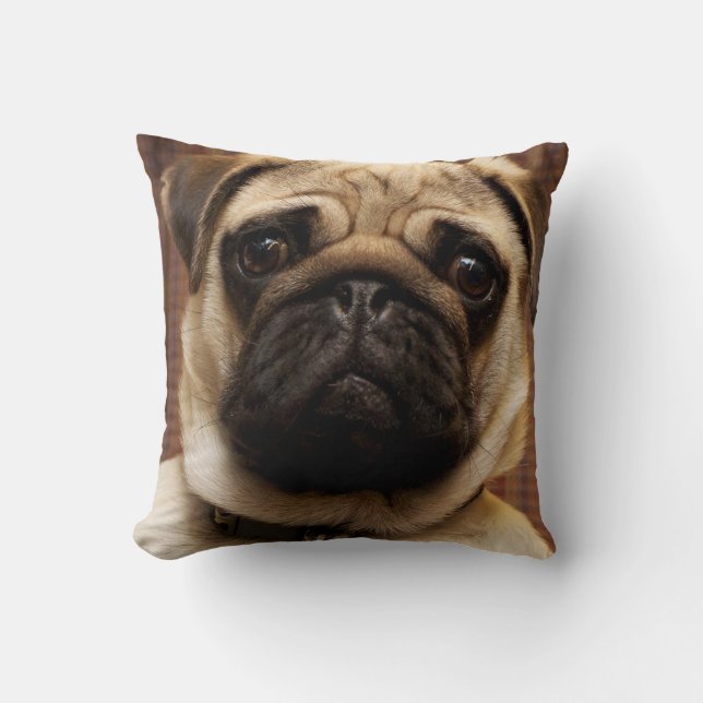 Pug Puppy Pet Dekorativ kudde Home Decor (Framsida)
