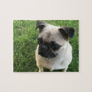 Pug Puppy Photo Pussel