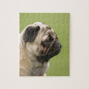 Pug Pussel