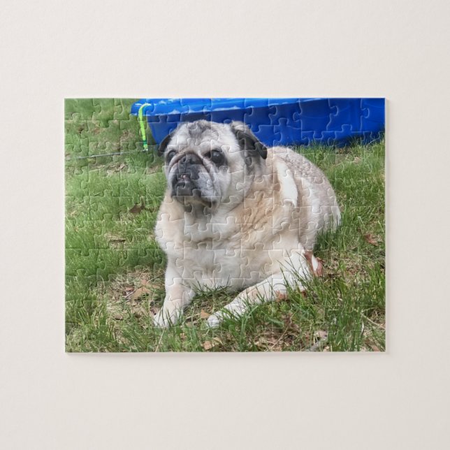 Pug Puzzle Pussel (Horisontell)