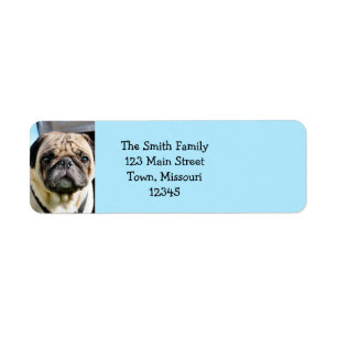 Pug Returadress Etikett