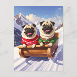 Pug Sled Ride Vykort