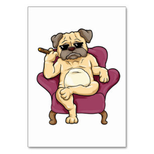 Pug Smoking Cigar Verkligen Coola Pug Hund Bordsnummer