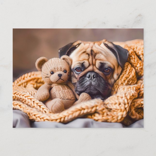 Pug Snuggling with Teddy Bear Blanket Vykort (Framsida)