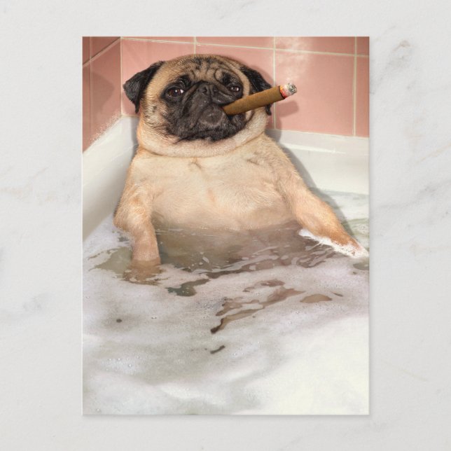 Pug som tar Bubble Bath Inbjudan Vykort (Framsida)