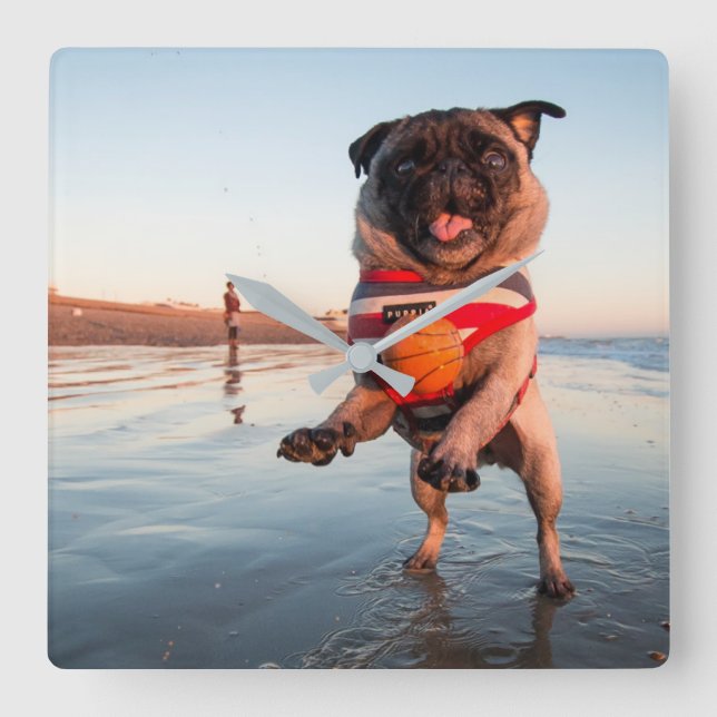Pug Spela upp Boll på Beach Fyrkantig Klocka (Framsida)