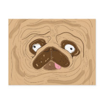 Pug Spreading Wrinkles Ansikte