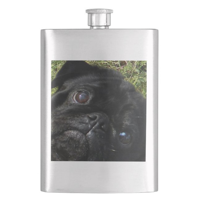 pug svart-pug ögon fickplunta (Framsidan)