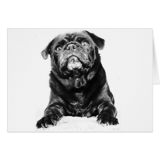 Pug - Svart PUG-svartvitt Hälsningskort (Framsidan Horizontal)