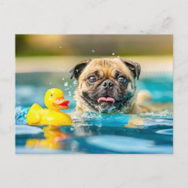 Pug Swimming with Rubber Duck in Pool Vykort
