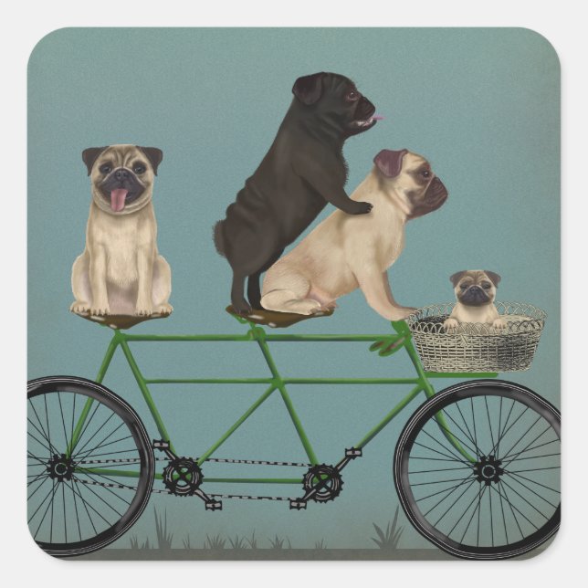 Pug Tandem Fyrkantigt Klistermärke (Framsida)