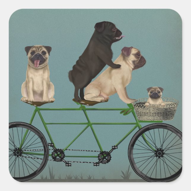Pug Tandem Fyrkantigt Klistermärke (Framsida)