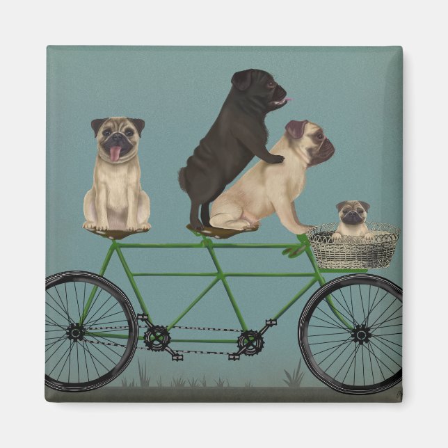 Pug Tandem Magnet (Framsidan)