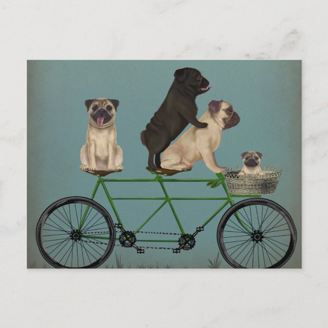 Pug Tandem Vykort (Framsida)