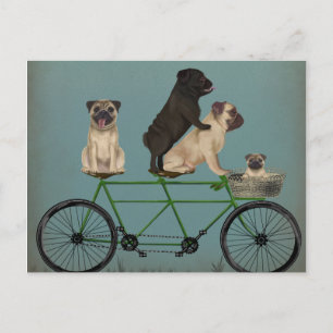 Pug Tandem Vykort