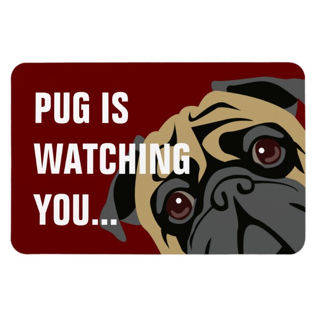 Pug tittar magnet (Horisontell)