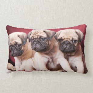 Pug Triples Lumbarkudde