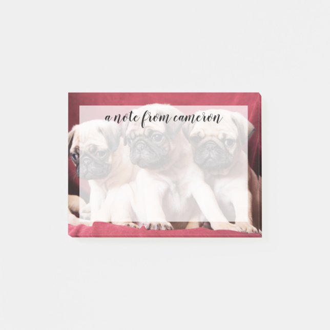 Pug Triples Post-it Block (Framsida)