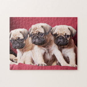 Pug Triples Pussel