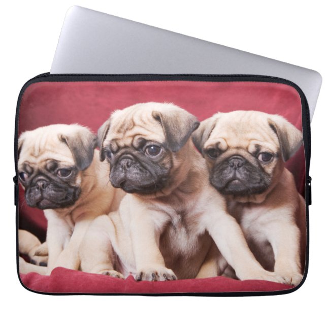 Pug Triplets Laptop Fodral (Framsidan)