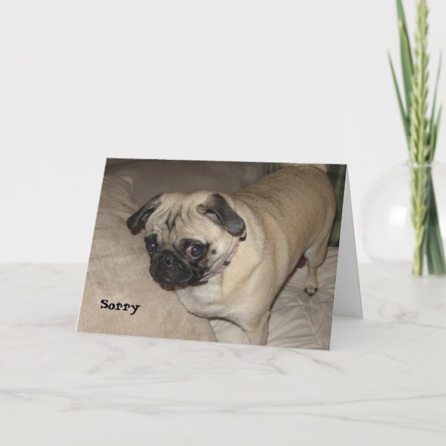 Pug - tyvärr kort (Framsida)