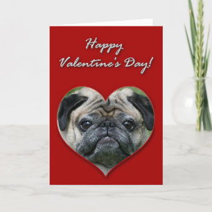 Pug Valentines day kort