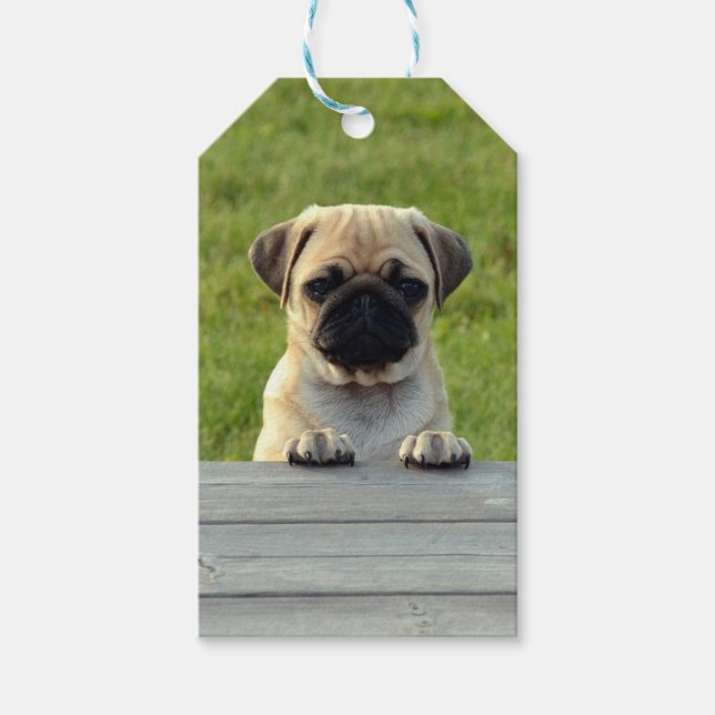 Pug Valp Presentetikett (Framsidan)