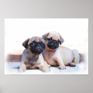 Pug-valpar poster