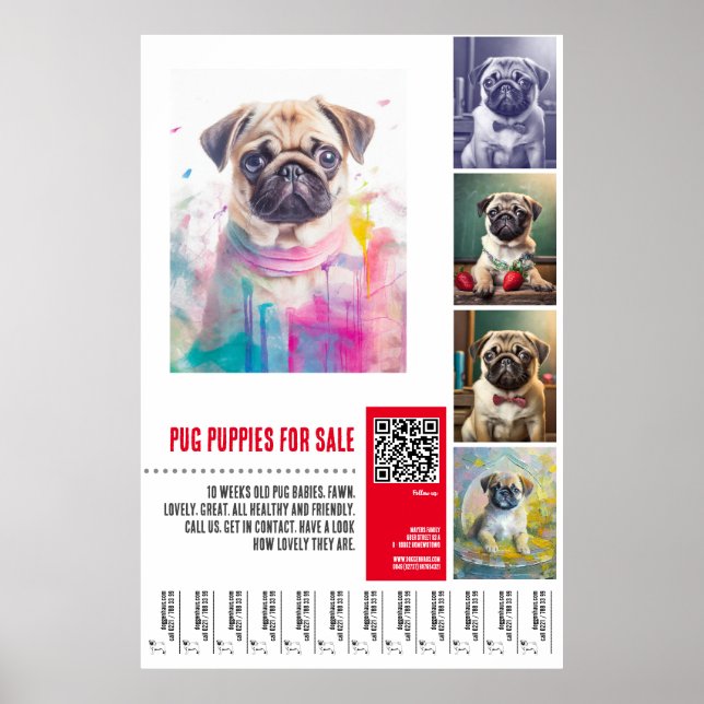 Pug-valpen för försäljning poster mallar (Framsidan)