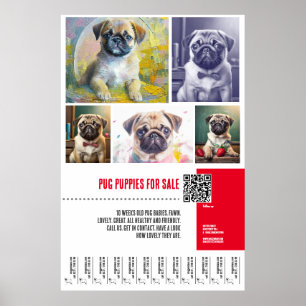 Pug-valpen för försäljning poster mallar