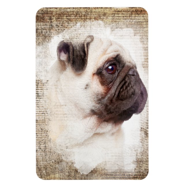 Pug Vintage Porträtt Magnet (Vertikal)