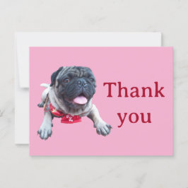 pug vykort